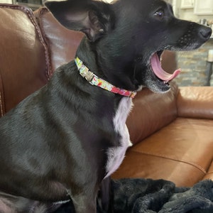 Kristen ha añadido una foto de su compra