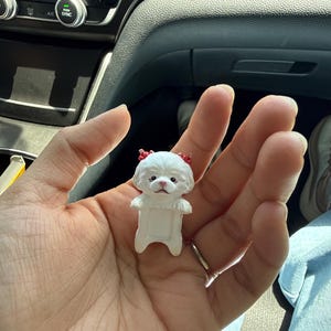 Stephanie added a photo of their purchase