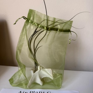 Elizabeth added a photo of their purchase