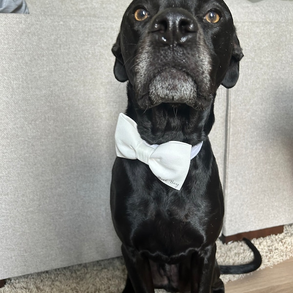 Wedding Dog Bow Tie Dog Wedding Attire Best Boy Engagement Dog Gift