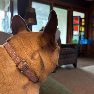 Bosco ha añadido una foto de su compra