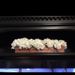 shannon ha añadido una foto de su compra