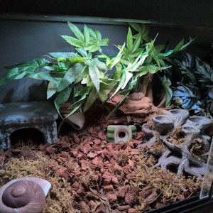 Kathrine added a photo of their purchase