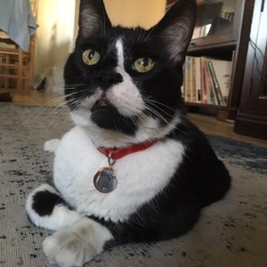 jenney ha añadido una foto de su compra