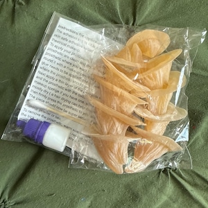 Victoria added a photo of their purchase