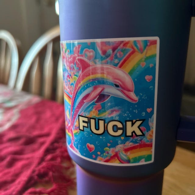 Oceanbeetle LAC オリジナルペイント（FUCK YOUデザイン） Fuck Sticker, Funny Dolphin, AI, Pink Neon, Weatherproof Premium
