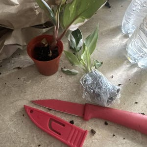 Caitlin さんが購入した商品の写真を追加しました