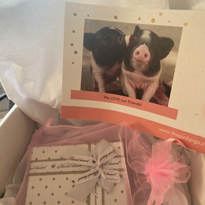 Jesus and Coffee Unstoppable Mug-funny Mug for Christian Woman - Etsy