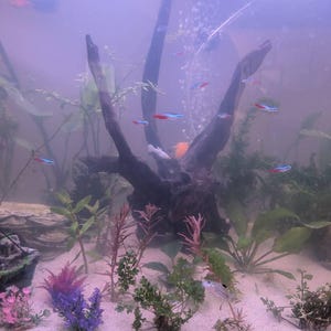 Craig added a photo of their purchase