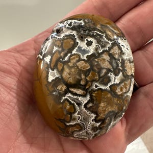 Brecciated Jasper Palm Stones | Druzy Brecciated Agate Pocket