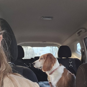 Pennie hat ein Foto des gekauften Artikels hinzugefügt