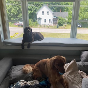 Kelly added a photo of their purchase