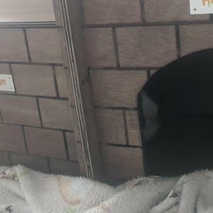 Anize added a photo of their purchase