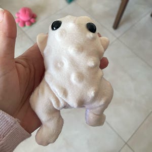 Giovanna added a photo of their purchase