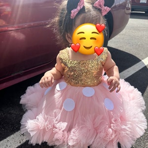 Minnie Mouse Inspired Baby Costume Set, Pink Gold Flower Girl Dress, Mickey  Mouse Inspired 1st Birthday Theme Outfit Toddler Pageant Dresses - Etsy