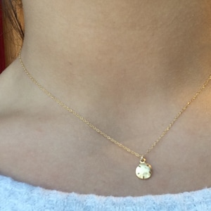 Abby added a photo of their purchase