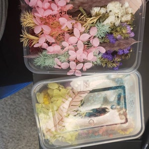 Dried Flowers For Resin Art And Craft, Packaging Size: In A Box At - Foto 10