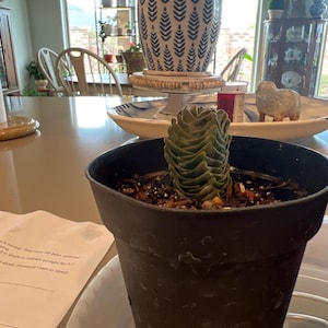 Karen ha añadido una foto de su compra