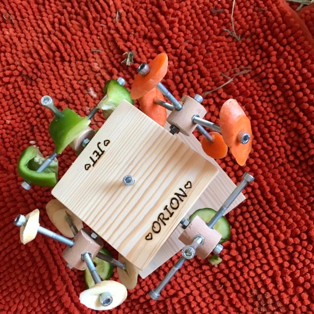Set di biancheria da letto per bambini e ragazze, motivo porcellino d'India, con motivo a forma di cavia, per bambini, con fiori colorati, ultra morbido, decorazione a cartoni animati