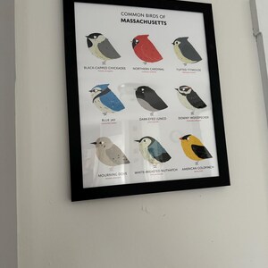 Common State Birds of North Carolina Art Print Illustrated Chubby Bird Print North Carolina ...