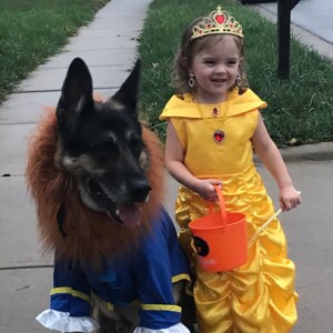 Dog Costume Dog Alexander Hamilton Costume Dog Halloween Etsy