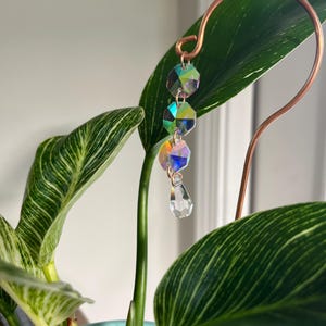 CC added a photo of their purchase