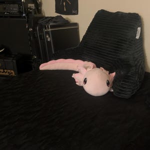 Ben ha aggiunto una foto del proprio acquisto