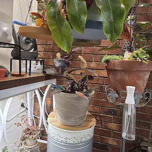Tracy added a photo of their purchase