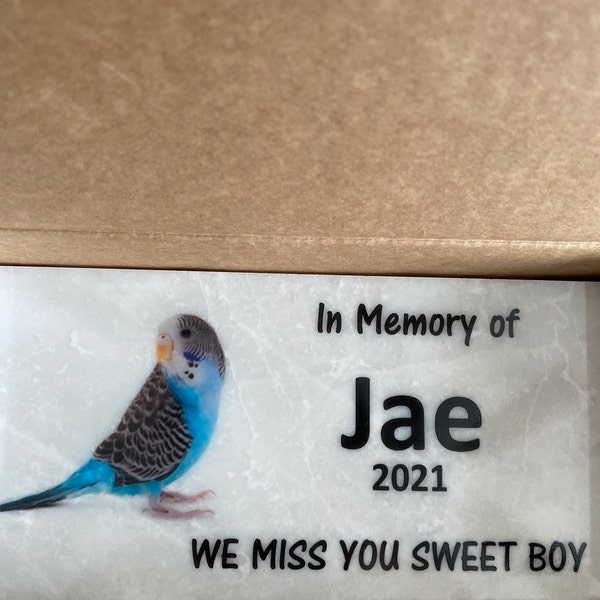 Parakeet Memorial Stone - Your Wings Were Ready... - Real