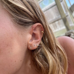 Rachel added a photo of their purchase