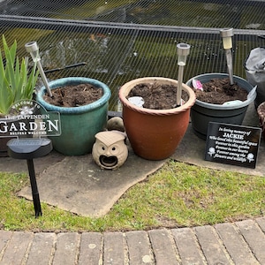 Tracy added a photo of their purchase