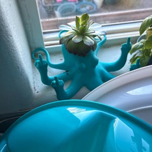 motsingerj added a photo of their purchase