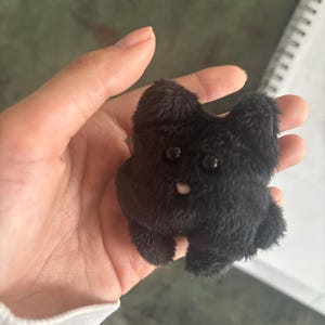 renny added a photo of their purchase