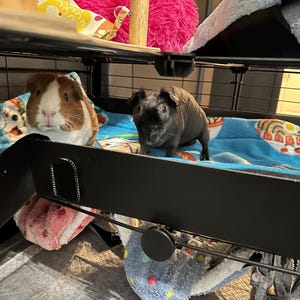 Morgan added a photo of their purchase
