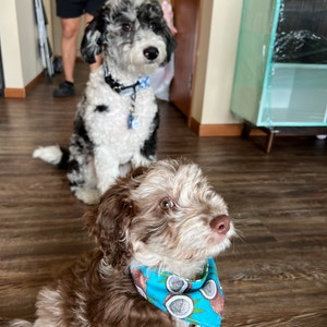 Debbie ha añadido una foto de su compra