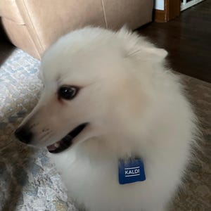 Addie added a photo of their purchase