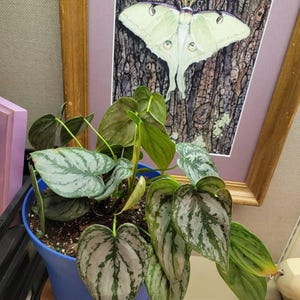 R.E. added a photo of their purchase