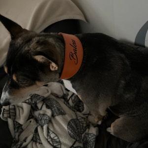 Silke added a photo of their purchase