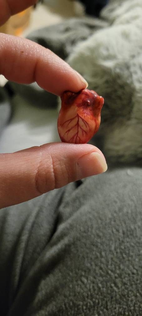 Life Size Human Heart,Handmade Heart,Realistic Heartc,Bloody Heart