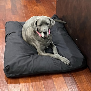 Jackie added a photo of their purchase