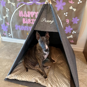 Josie added a photo of their purchase