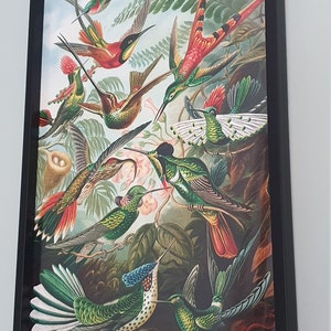 Kelly added a photo of their purchase
