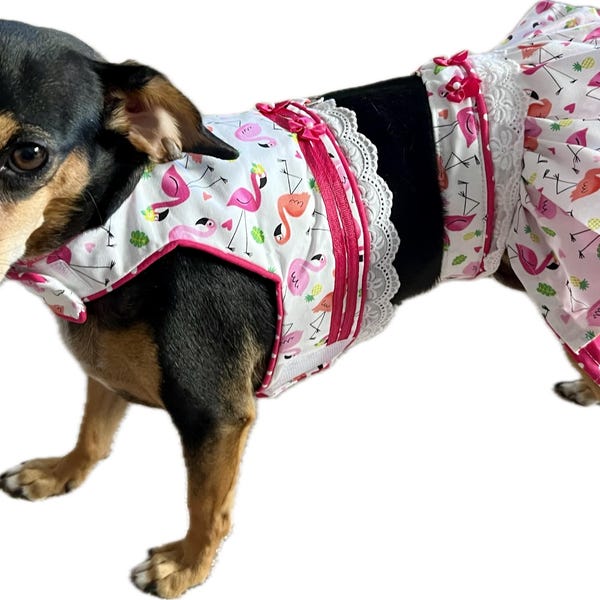 Syacuse Oange Cheeleade Pet Dess - Fanhood Gea