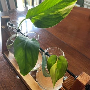 Amanda added a photo of their purchase