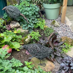 Kareen ha añadido una foto de su compra