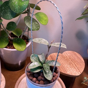 Andrea added a photo of their purchase