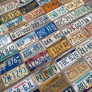 ヴィンテージ 50 州米国ナンバープレートセット（クラフト状態） - 20