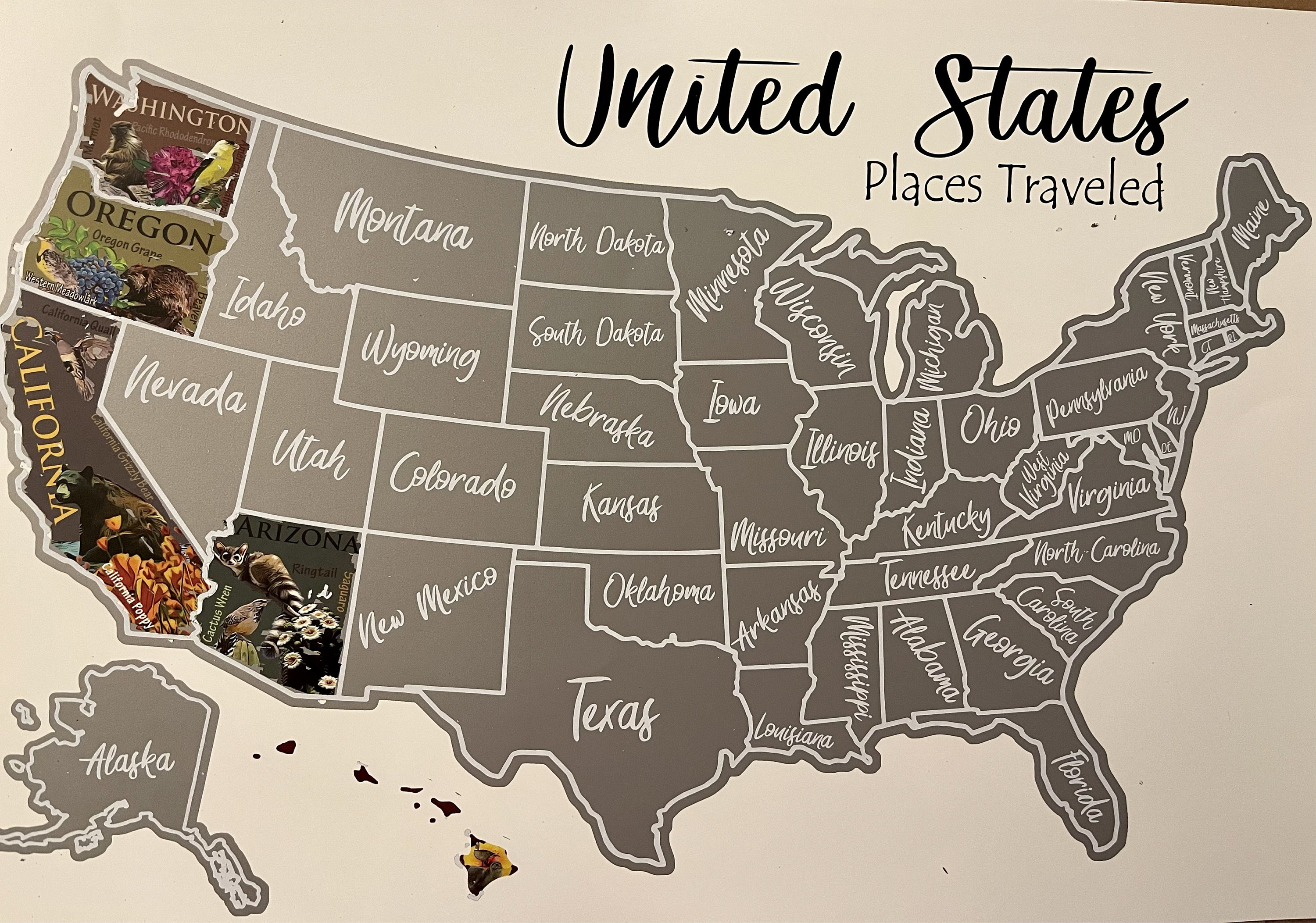 USA Scratch Off Map; State Symbols map; United States Poster; Educational travel scratch off poster; Places Traveled Map; Scratch off poster