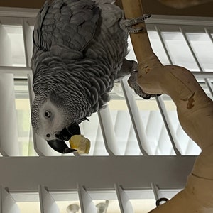 Annette added a photo of their purchase