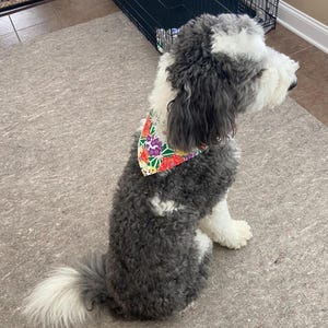Helen added a photo of their purchase